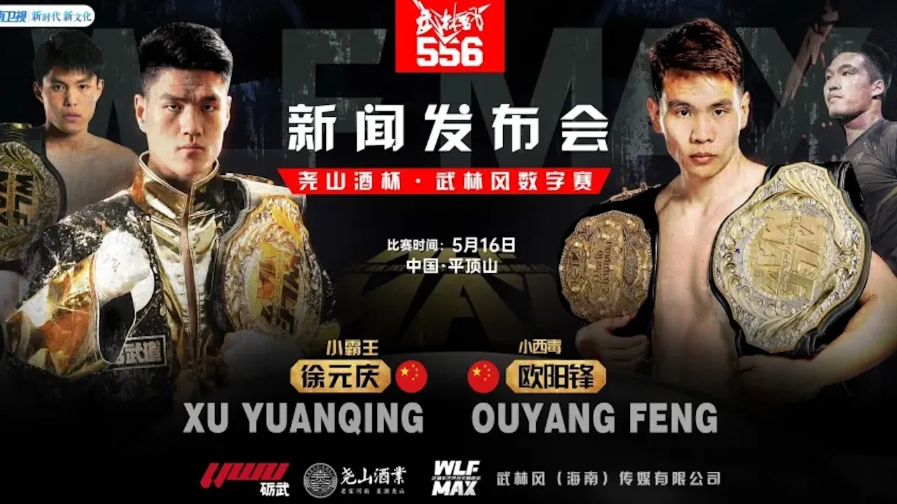 Wu Lin Feng 556 : Ouyang vs Hnatchuk - Beyond Kickboxing